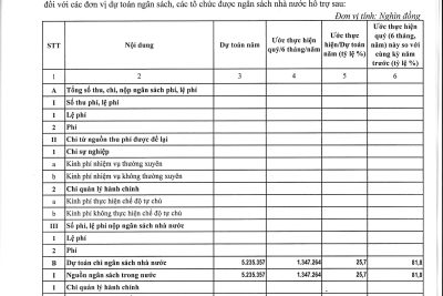 2.3. CÔNG KHAI TÌNH HÌNH THỰC HIỆN DỰ TOÁN THU-CHI NSNN_QUÝ II-NĂM 2021