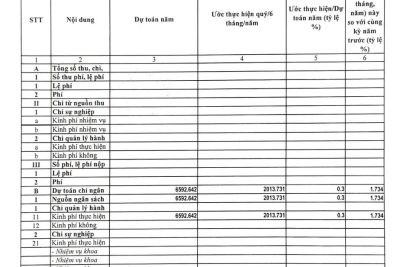 2.5. CÔNG KHAI TÌNH HÌNH THỰC HIỆN DỰ TOÁN THU-CHI NSNN QUÝ III-NĂM 2024