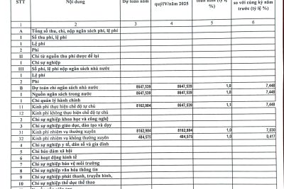 13.2. CÔNG BỐ CÔNG KHAI_ THTH DỰ TOÁN THU CHI NSNN_QUY IV_2025